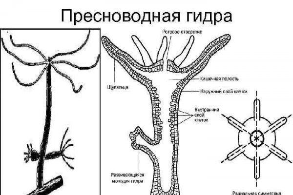 Ссылка на кракен тор магазин